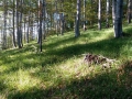 20170713_183413